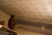 Kunstiajaloolane Juhan Kilumets uurib Kuressaare Laurentiuse kirikus avastatud ainulaadset laemaalingut. Foto: Irina Mägi / Meie Maa